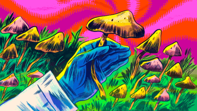 Hand-mushrooms