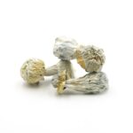 Mush—Humble-Pie..16-12-25