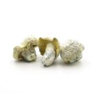 Mush—Iceberg..16-12-25