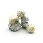 Mush—Jack-Frost..16-12-25