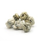 Mush—Nutcracker..16-12-25