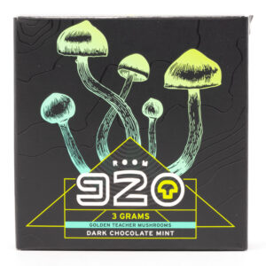 Room920-Golden-Teacher-Mushrooms-Dark-Chocolate-Mint.jpg
