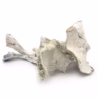 Albino-Jedi-Mind-Fuck-1-2