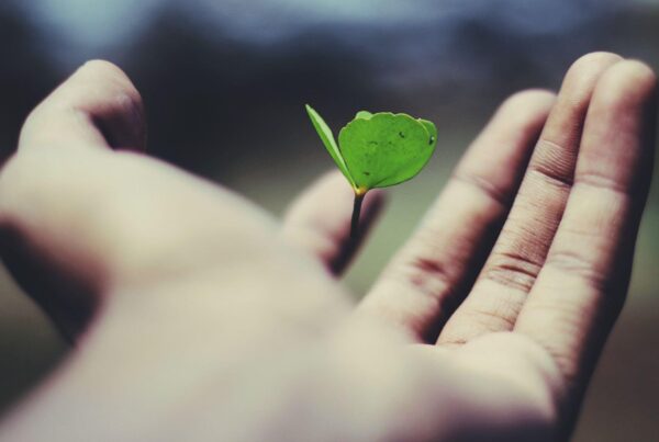 Using Psychedelic for Growth and Spirituality