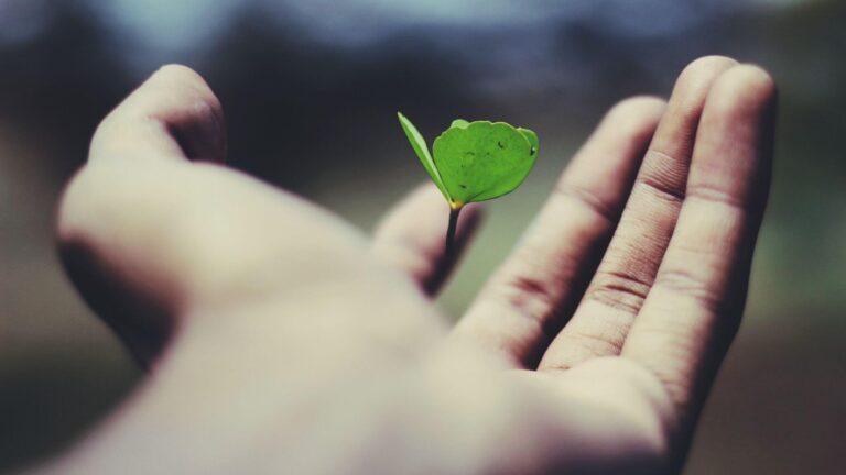 ravi-roshan-_AdUs32i0jc-unsplash (1) (1)