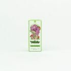 Wonder - Shroom Infused Edible - Dark Chocolate