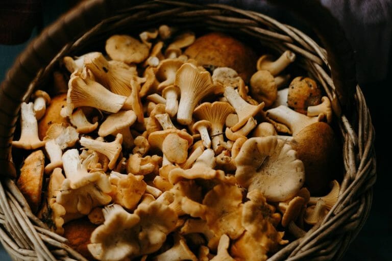 Buy shrooms online