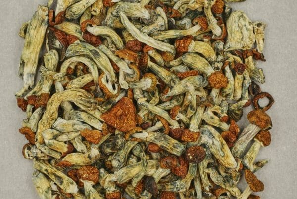 Mush - Malabar Coast