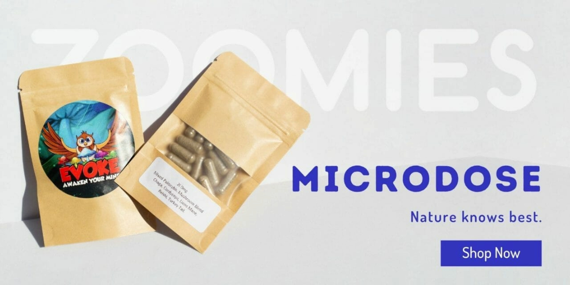 Zoomies Canada - Shrooms Online Carousel - Microdose Zoomies Canada - Shrooms Online | Carousel Microdose - Evoke
