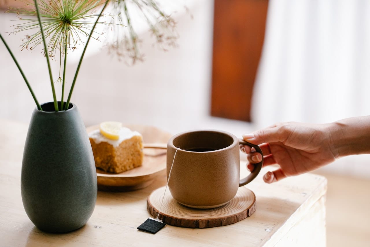 Quitting Alcohol? Mushroom Drink as a Promising Alcohol Alternative