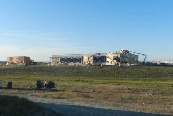 Magic mushrooms Nunavut