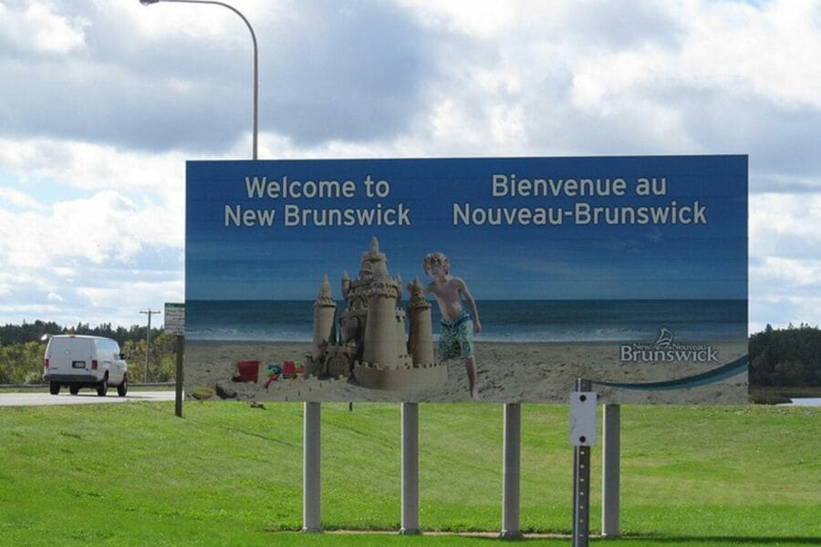 Magic mushroom wild New Brunswick