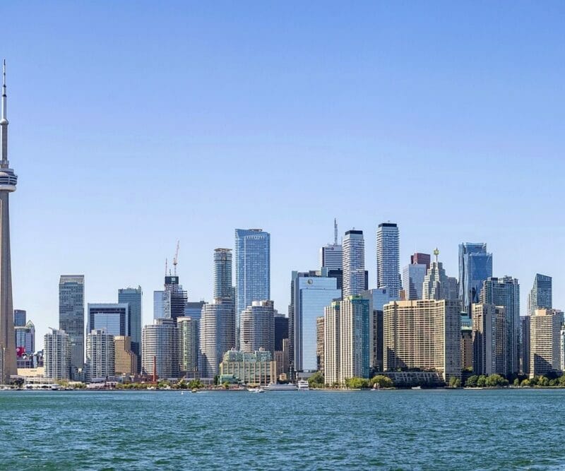 Mushroom store Toronto