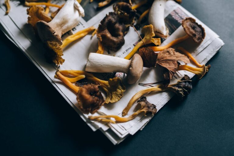 DC Mac Mushroom Strain