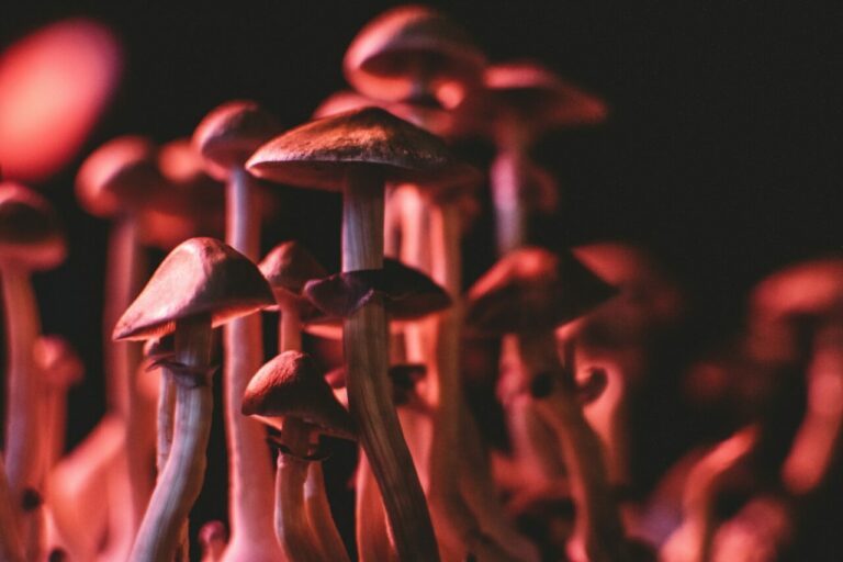 Psychedelic Online