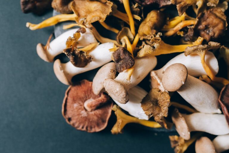 Magic Mushrooms Online Canada