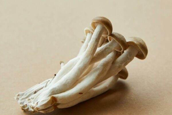 Shrooms Online Canada