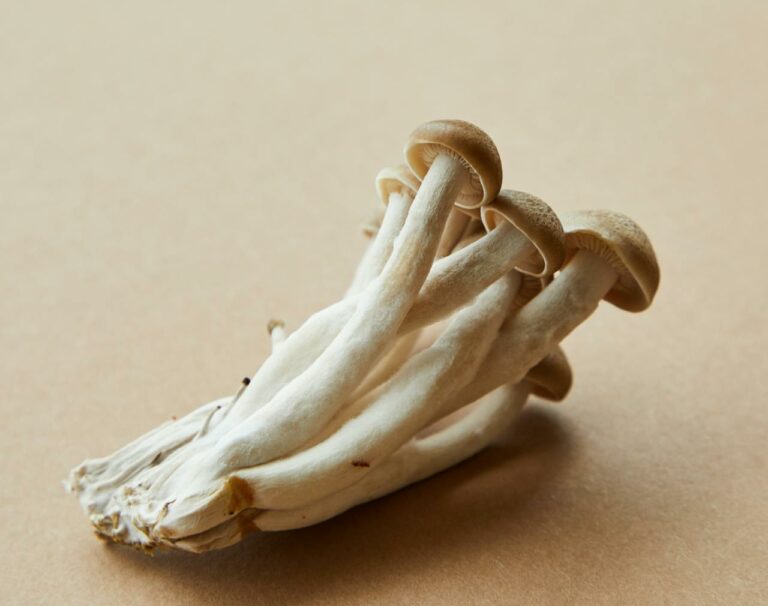 Shrooms Online Canada