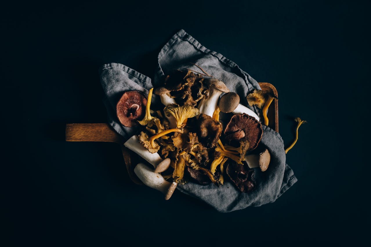 Explore Psychedelic Mushrooms for Mental Wellness