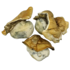 hillbilly-pumpkin-2-300×300-removebg-preview (1)