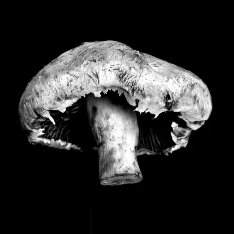 shroom delivery