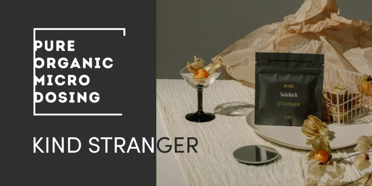 Kind-Stranger-banner