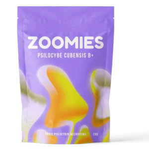 psilocybe-cubensis-b