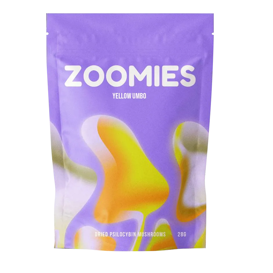 Yellow-Umbo yellow-umbo