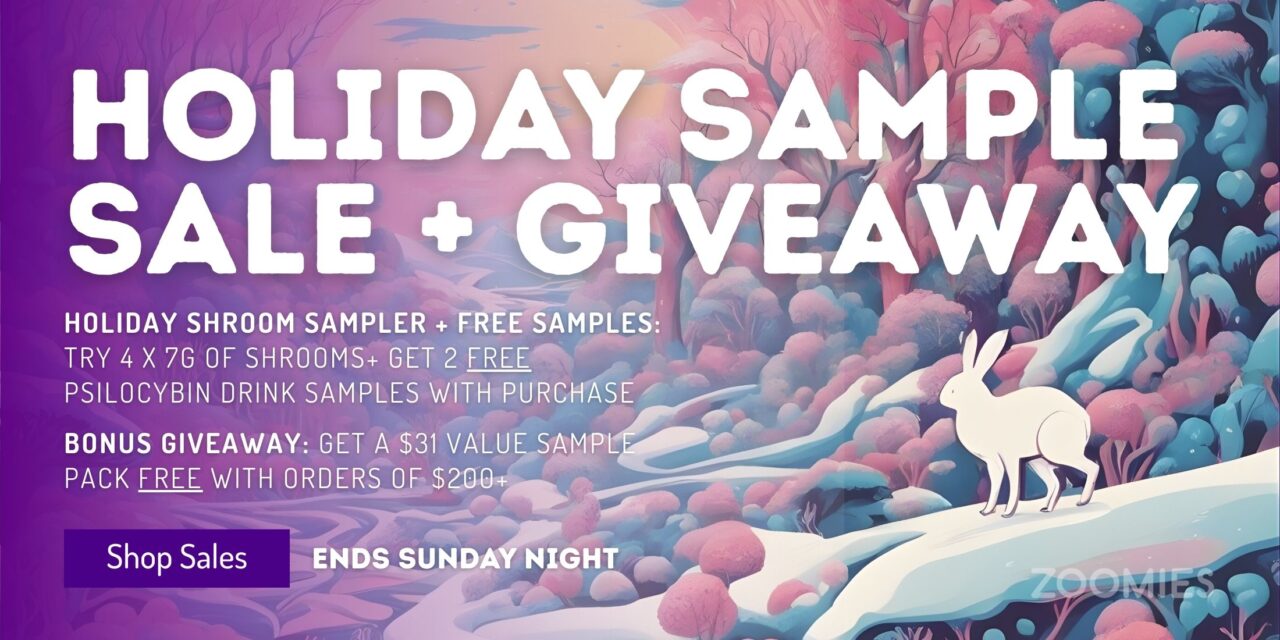 Zoomies Dec 12-14 Banner