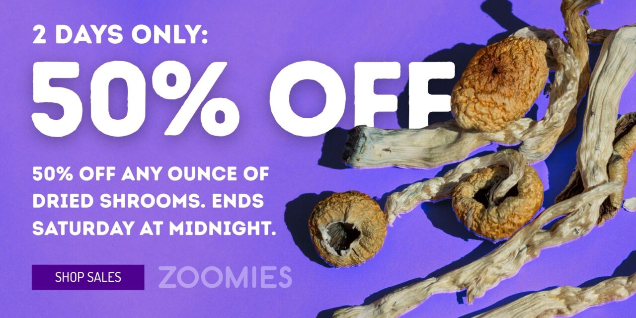 Zoomies Dec 5-6 banner