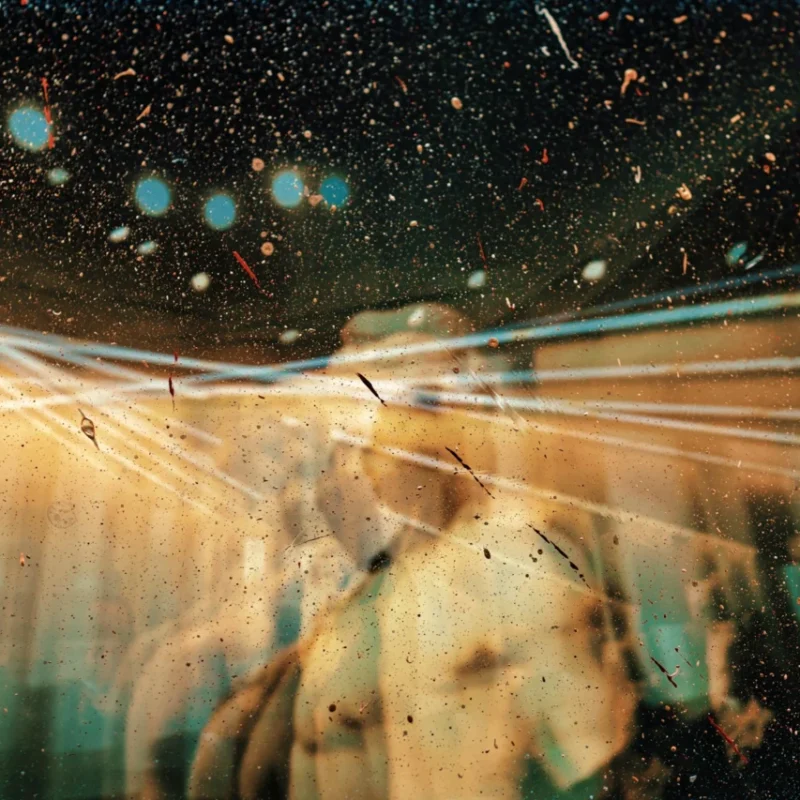 blue-meanie-mush-experiece