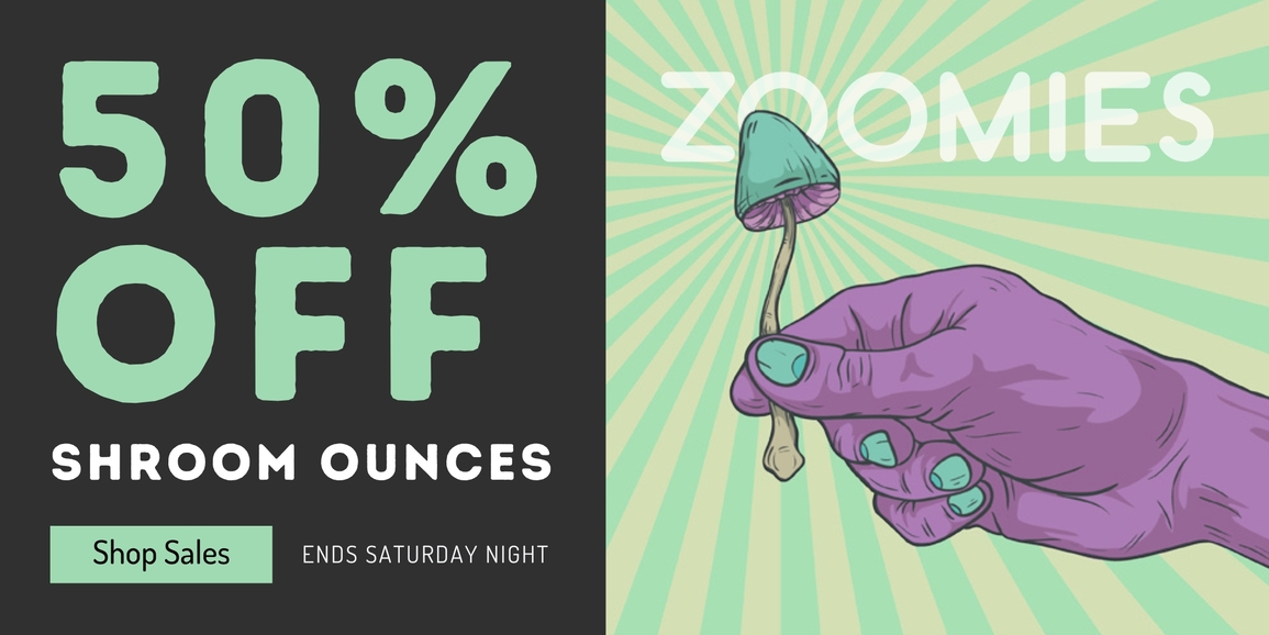 ZOOMIES_JAN_2-3_1155x578