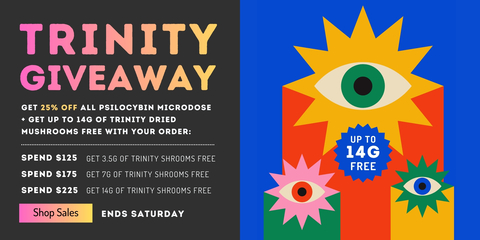 ZOOMIES_FEB_27-28_BANNER_2_480x240