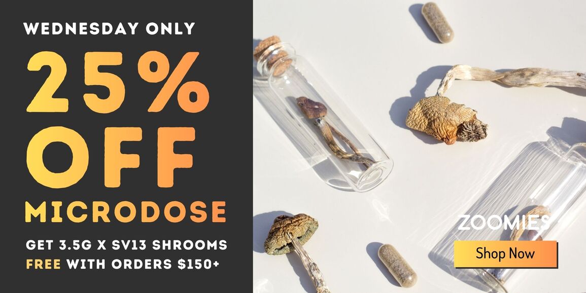 Zoomies_March_25_banner_1155x578