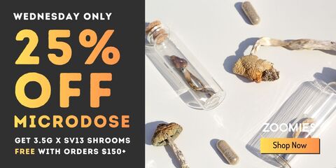 Zoomies_March_25_banner_2_480x240