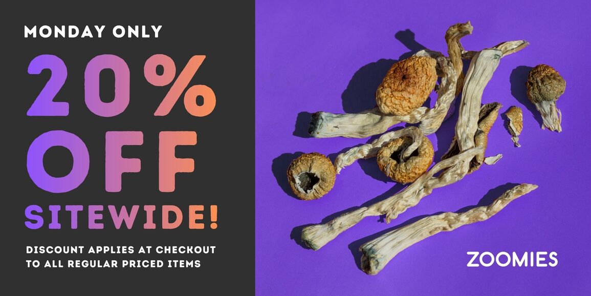 Zoomies_March_30_banner_1155x578