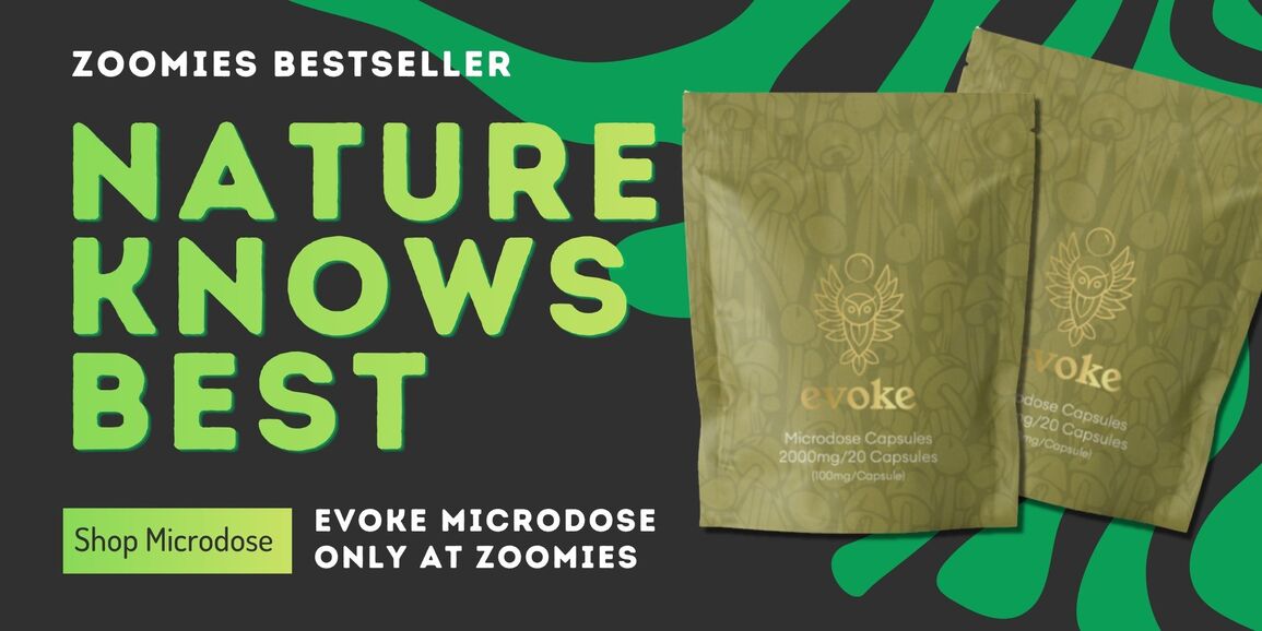 Zoomies Canada - Shrooms Online | Carousel Microdose - Evoke