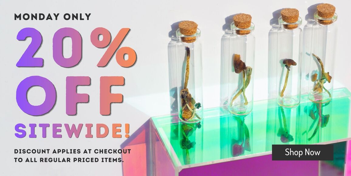 Zoomies_April_6_Banner_1155x578