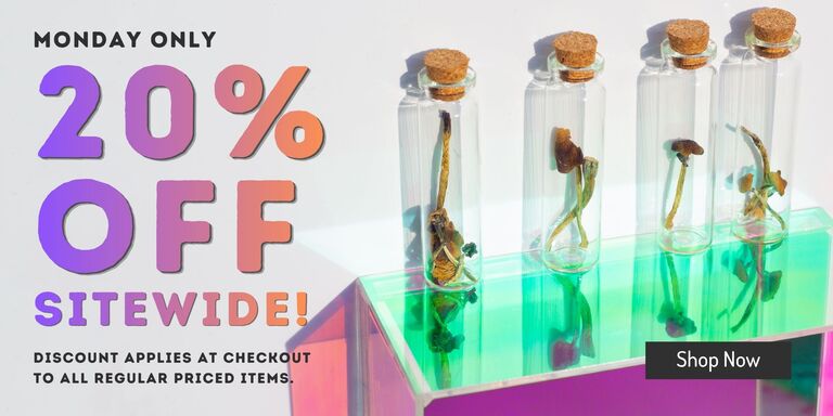 Zoomies_April_6_Banner_1_768x384